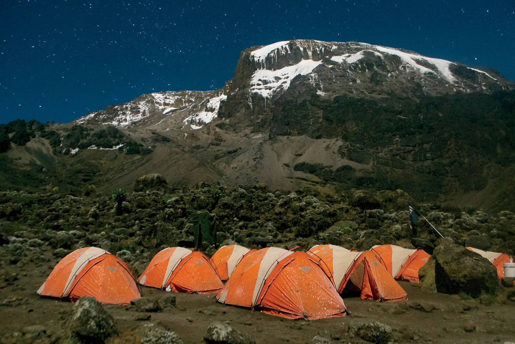 Unearth Kilimanjaro’s Secrets: Join Peak Planet’s Trekking Expeditions