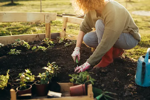 Green Thumb Mastery: Navigating the Certificate III Horticulture Program