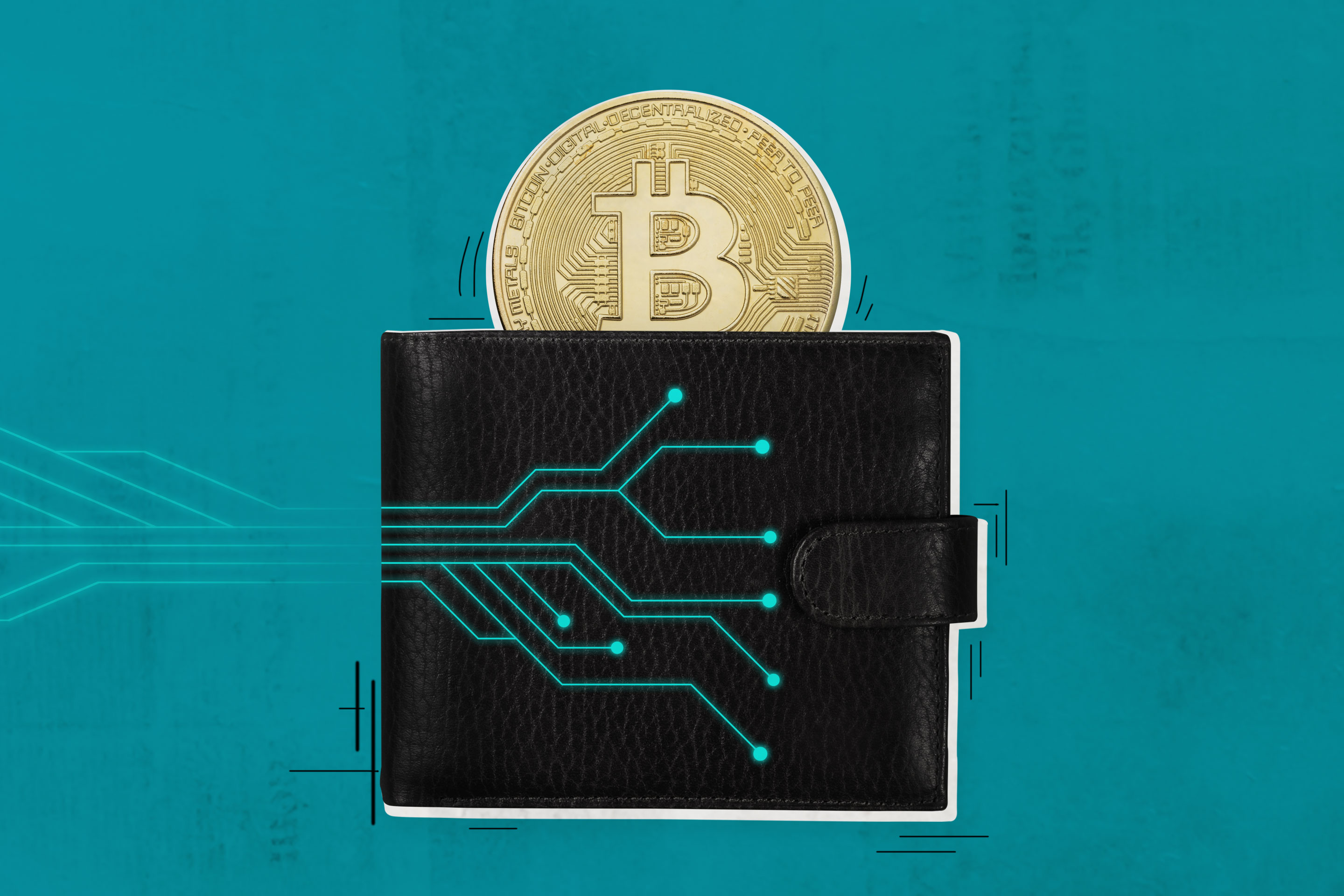 ZeroKelvin Wallet: The Pinnacle of Cold Storage Excellence